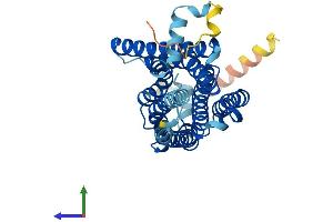 Protein Structure (PS) image for Trace Amine Associated Receptor 2 (TAAR2) (AA 1-351) protein (His tag) (ABIN7544261)