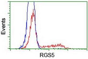 Image no. 2 for anti-Regulator of G-Protein Signaling 5 (RGS5) (AA 1-181) antibody (ABIN1490600)