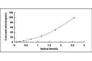 Typical standard curve (beta Actin ELISA Kit)