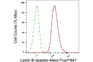 Flow cytometric analysis of Lamin B receptor expression in HAP-1 cells using Lamin B receptor antibody (ABIN7799230), 1:2,000). (Rekombinanter Lamin B Receptor Antikörper)