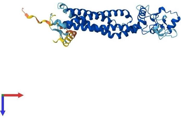 ROM1 Protein (AA 1-351) (His tag)