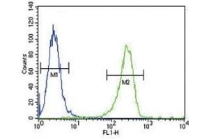TPA antibody flow cytometric analysis of A2058 cells (green) compared to a negative control (blue). (PLAT Antikörper  (AA 371-399))