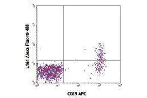 Flow Cytometry (FACS) image for anti-T-cell surface glycoprotein CD1c (CD1C) antibody (Alexa Fluor 488) (ABIN2657358) (CD1c Antikörper  (Alexa Fluor 488))
