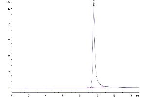 Size-exclusion chromatography-High Pressure Liquid Chromatography (SEC-HPLC) image for Fibroblast Growth Factor 7 (FGF7) (AA 32-194) protein (His tag) (ABIN7275082)