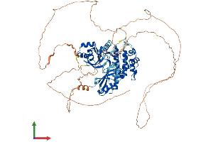 Protein Structure (PS) image for MAP/microtubule Affinity-Regulating Kinase 2 (MARK2) (AA 1-788) protein (His tag) (ABIN7554502)