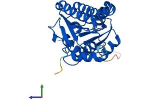 AlphaFold protein structure predicition of Mouse Recombinant Hsd17b8 Protein, UniprotID P50171