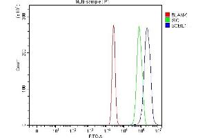 Flow Cytometry analysis of U20S cells using anti-SCML1 antibody (ABIN7602479).