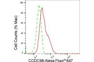 Flow cytometric analysis of CCDC98 expression in HT- cells using CCDC98 antibody (ABIN7798559), 1:2,000). (Rekombinanter CCDC98 Antikörper)
