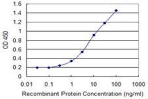 Detection limit for recombinant GST tagged DEPDC7 is 0. (DEPDC7 Antikörper  (AA 393-499))