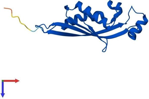 PTS Protein (AA 1-145) (His tag)