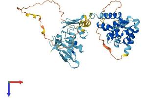 EIF5 Protein (AA 1-431) (His tag)