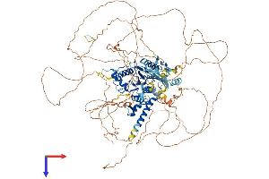 SENP6 Protein (AA 1-1112) (His tag)