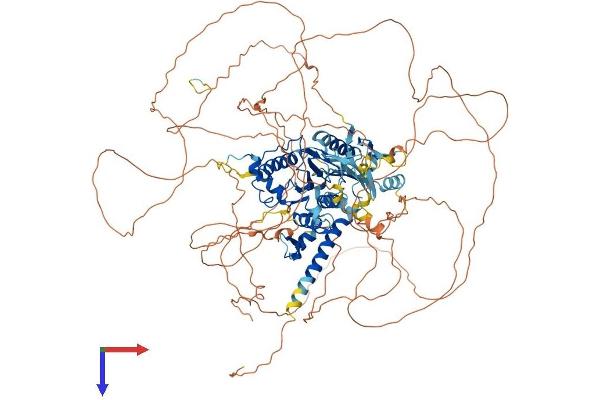 SENP6 Protein (AA 1-1112) (His tag)