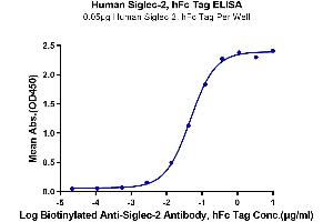 ELISA image for CD22 Molecule (CD22) (AA 20-687) protein (Fc Tag) (ABIN7275595)