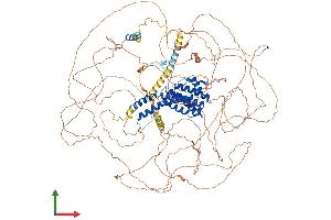 Protein Structure (PS) image for AF4/FMR2 Family, Member 2 (AFF2) (AA 1-1272) protein (His tag) (ABIN7562484)