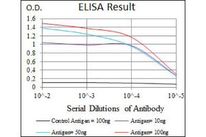 Red: Control Antigen (100ng) ; Purple: Antigen (10ng) ; Green: Antigen (50ng) ; Blue: Antigen (100ng). (SRY Antikörper  (AA 1-204))