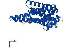 YWHAE Protein (AA 1-255) (His tag)