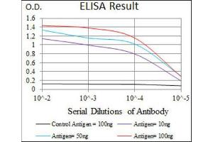 ELISA image for anti-Keratin 13 (KRT13) (AA 143-295) antibody (ABIN1845564) (Cytokeratin 13 Antikörper  (AA 143-295))