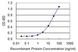 Detection limit for recombinant GST tagged INPP1 is 0. (INPP1 Antikörper  (AA 300-399))