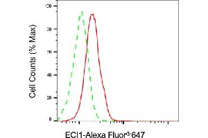 Flow cytometric analysis of ECI1 expression in HAP-1 cells using ECI1 antibody (ABIN7798453), 1:2,000). (Rekombinanter DCI Antikörper)