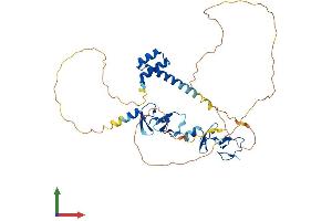 Protein Structure (PS) image for LIM Homeobox 1 (LHX1) (AA 1-406) protein (His tag) (ABIN7556632)