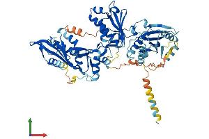 AlphaFold protein structure predicition of Human Recombinant SLFN12L Protein, UniprotID Q6IEE8
