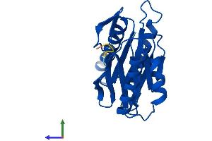 Protein Structure (PS) image for Proteasome (Prosome, Macropain) Subunit, beta Type 2 (PSMB2) (AA 1-201) protein (His tag) (ABIN7551069)