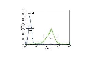 GABRA2 Antibody (C-term) (ABIN653245 and ABIN2842770) flow cytometric analysis of NCI- cells (right histogram) compared to a negative control cell (left histogram). (GABRA2 Antikörper  (C-Term))