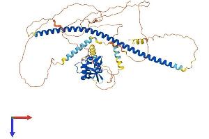 DACH2 Protein (AA 1-599) (His tag)