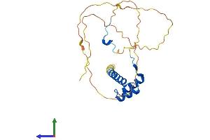 AlphaFold protein structure predicition of Mouse Recombinant Hoxb6 Protein, UniprotID P09023 (HOXB6 Protein (AA 1-224) (His tag))