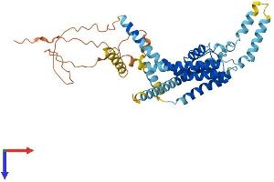 KCNK18 Protein (AA 1-394) (His tag)
