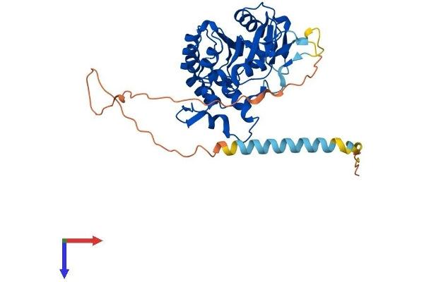 HS3ST2 Protein (AA 1-367) (His tag)