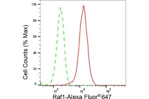 Flow cytometric analysis of Raf1 expression in HepG2 cells using Raf1 antibody (ABIN7800800), 1:2,000). (Rekombinanter RAF1 Antikörper)