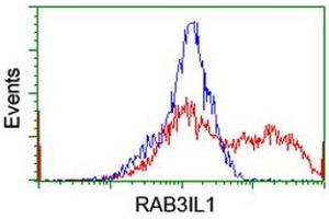 Image no. 2 for anti-RAB3A Interacting Protein (Rabin3)-Like 1 (RAB3IL1) antibody (ABIN1498513)