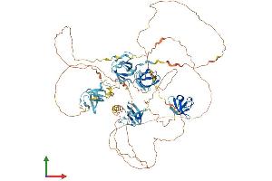 Protein Structure (PS) image for SH3 Domain Containing 19 (SH3D19) (AA 1-790) protein (His tag) (ABIN7555477)