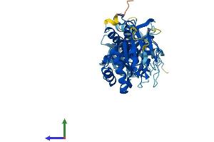 Protein Structure (PS) image for Interferon-Induced Protein 44-Like (IFI44L) (AA 1-447) protein (His tag) (ABIN7564934)