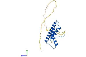 Protein Structure (PS) image for TAF12 RNA Polymerase II, TATA Box Binding Protein (TBP)-Associated Factor, 20kDa (TAF12) (AA 1-161) protein (His tag) (ABIN7559889)