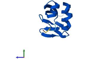 Protein Structure (PS) image for Molybdenum Cofactor Synthesis 2 (MOCS2) (AA 1-88) protein (Fc Tag) (ABIN7549442)