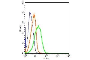 Mouse splenocytes probed with Rabbit Anti-CD163/M130 Polyclonal Antibody, FITC Conjugated (ABIN741577) at 1:10 for 30 minutes compared to control unstained cells (blue) and isotype control. (CD163 Antikörper  (AA 1001-1121) (FITC))