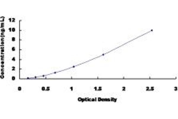 CYP11A1 ELISA Kit