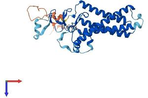 AlphaFold protein structure predicition of Human Recombinant ZDHHC7 Protein, UniprotID Q9NXF8
