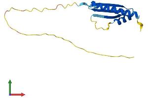 Protein Structure (PS) image for L Antigen Family, Member 3 (LAGE3) (AA 1-143) protein (His tag) (ABIN7548946)