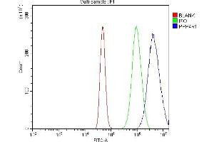 Flow Cytometry analysis of A431 cells using anti-PPP4R1 antibody (ABIN7602911). (PPP4R1 Antikörper  (C-Term))