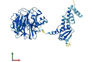 Protein Structure (PS) image for Regulator of Chromosome Condensation (RCC1) and BTB (POZ) Domain Containing Protein 1 (RCBTB1) (AA 1-531) protein (His tag) (ABIN7557968)