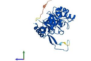 Protein Structure (PS) image for CutC Copper Transporter Homolog (CUTC) (AA 1-273) protein (His tag) (ABIN7546888)