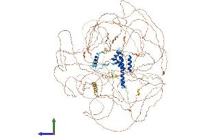 Protein Structure (PS) image for Chromosome 11 Open Reading Frame 30 (C11orf30) (AA 1-1322) protein (His tag) (ABIN7553786)