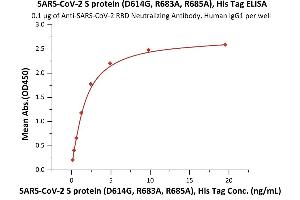 Immobilized Anti-SARS-CoV-2 RBD Neutralizing Antibody, Human IgG1 (Cat.