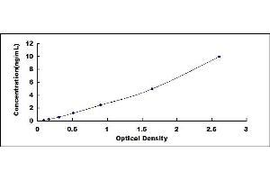 EGFL7 ELISA Kit