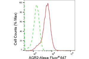 Flow cytometric analysis of AGR2 expression in HepG2 cells using AGR2 antibody (ABIN7797627), 1:2,000).