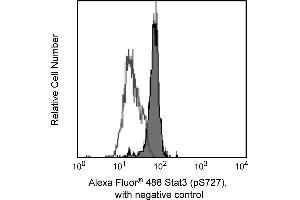 Flow Cytometry (FACS) image for anti-Signal Transducer and Activator of Transcription 3 (Acute-Phase Response Factor) (STAT3) (pSer727) antibody (Alexa Fluor 488) (ABIN1177194) (STAT3 Antikörper  (pSer727) (Alexa Fluor 488))